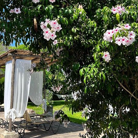 Masseria Casina Montana Corigliano dʼOtranto エクステリア 写真