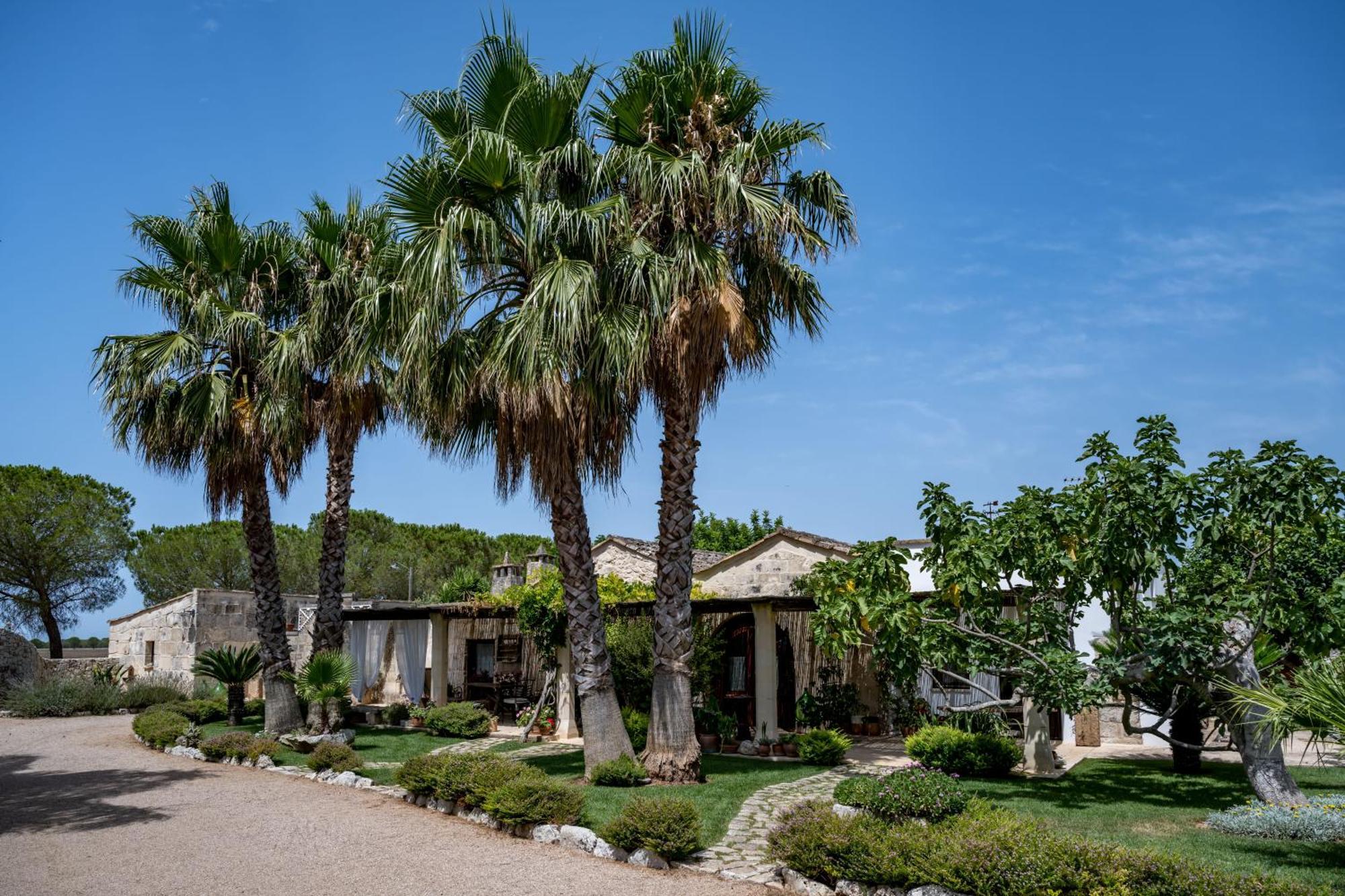 Masseria Casina Montana Corigliano dʼOtranto エクステリア 写真