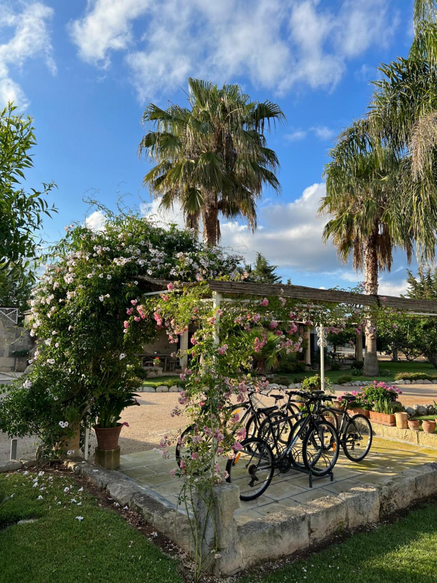 Masseria Casina Montana Corigliano dʼOtranto エクステリア 写真