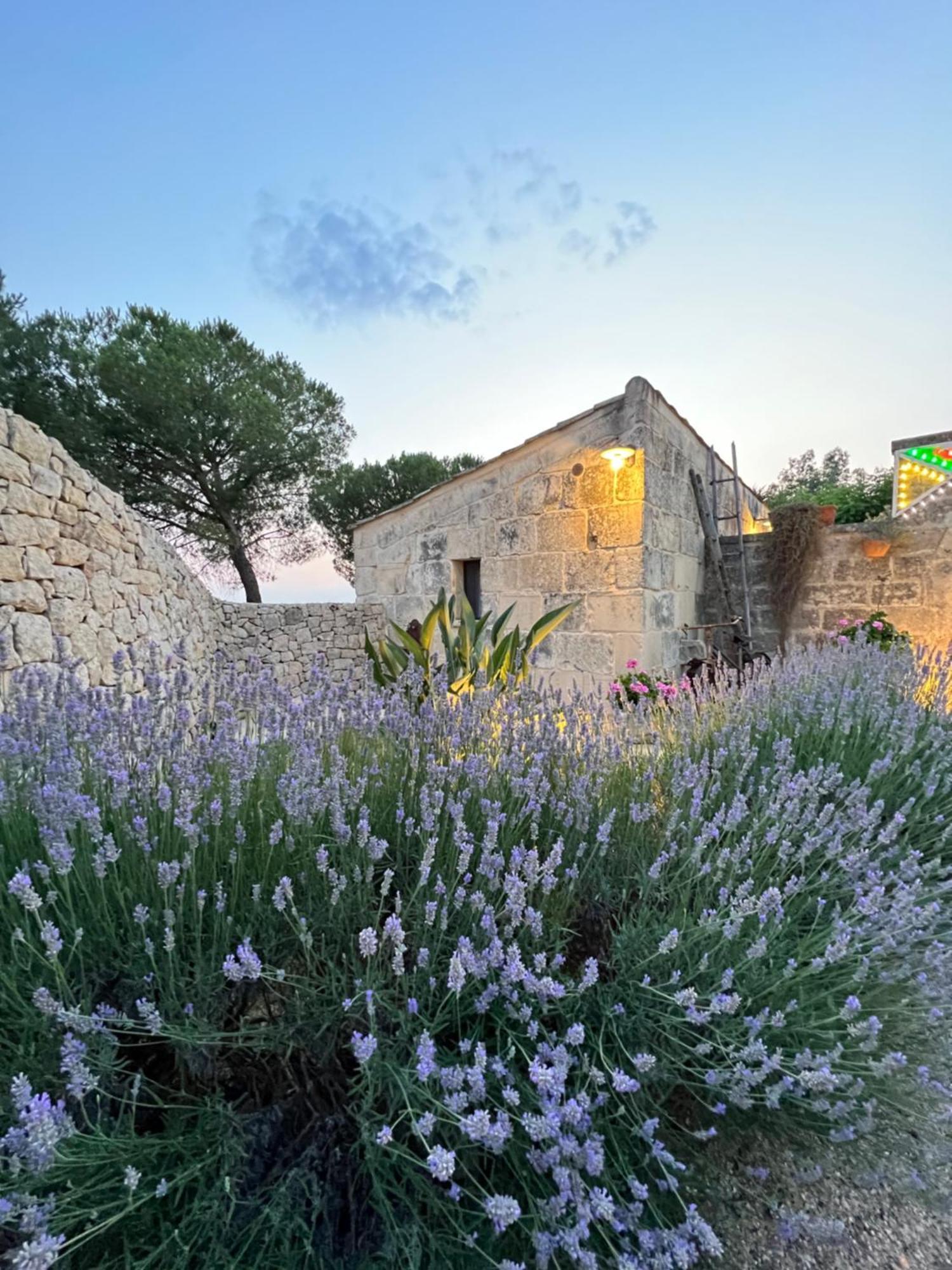 Masseria Casina Montana Corigliano dʼOtranto エクステリア 写真