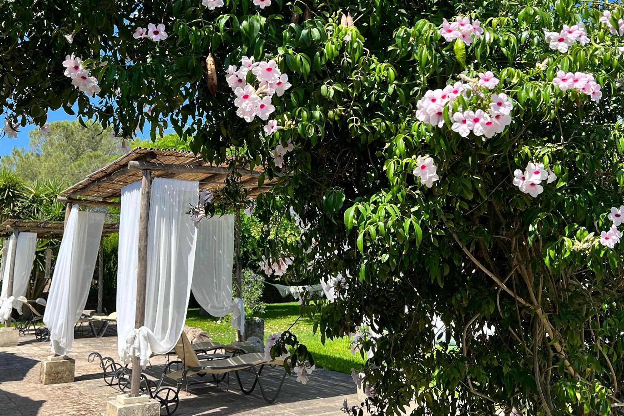 Masseria Casina Montana Corigliano dʼOtranto エクステリア 写真
